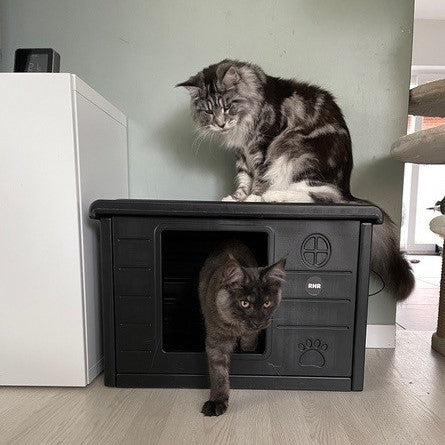 Cat House Villa de Luxe for Outside and Inside (Blackline)