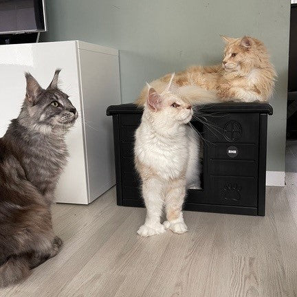 Cat House Villa de Luxe for Outside and Inside (Blackline)