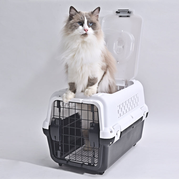 Travel basket with steel door for cats and dogs (Black) 50 x 50 x 35 cm
