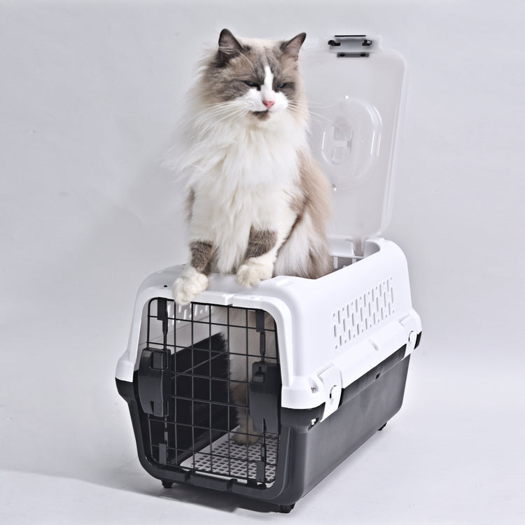 Travel basket with steel door for cats and dogs (Black) 50 x 50 x 35 cm
