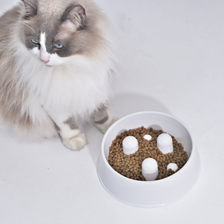 Slowfood Anti-Gulping Bowl Cat & Dog (White) - Small Ø20cm