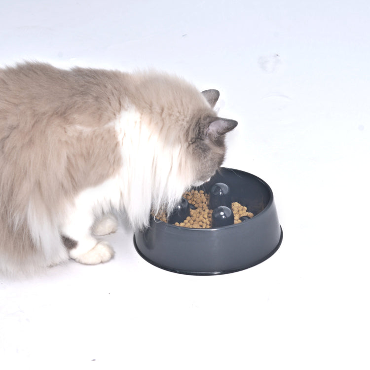 Slowfood Anti-Gulping Bowl Cat & Dog (Black) - Small Ø20cm