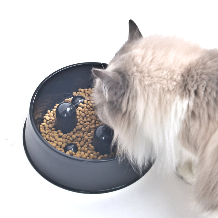 Slowfood Anti-Gulping Bowl Cat & Dog (Black) - Small Ø20cm