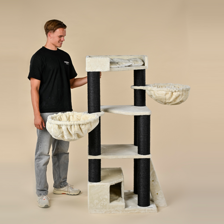 Cat Tree Corner Coon Blackline (Beige)