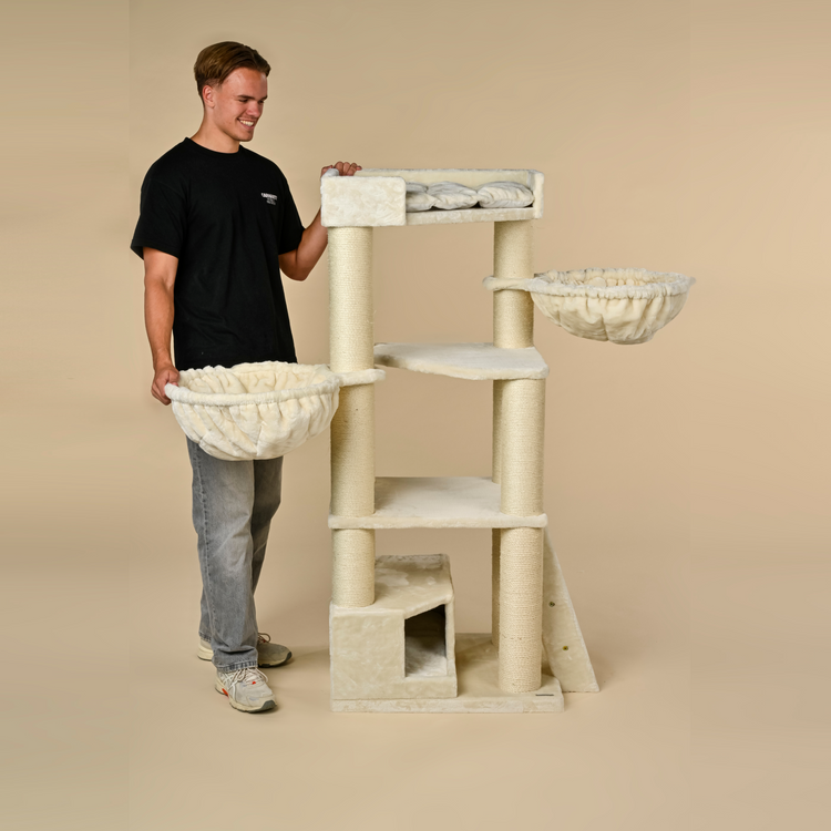 Cat Tree Corner Coon (Cream)