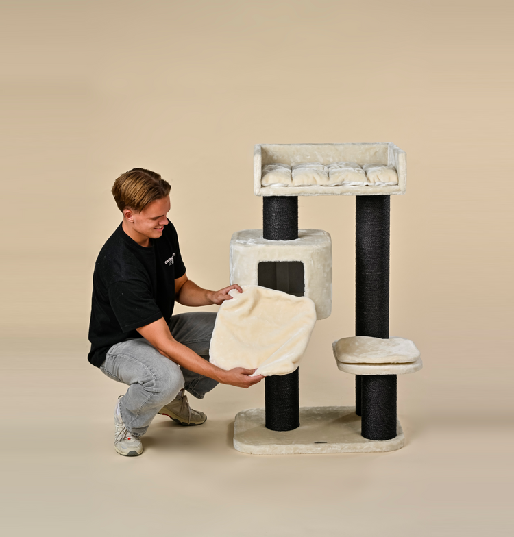 Cat Tree Devon Rex Blackline (Cream)