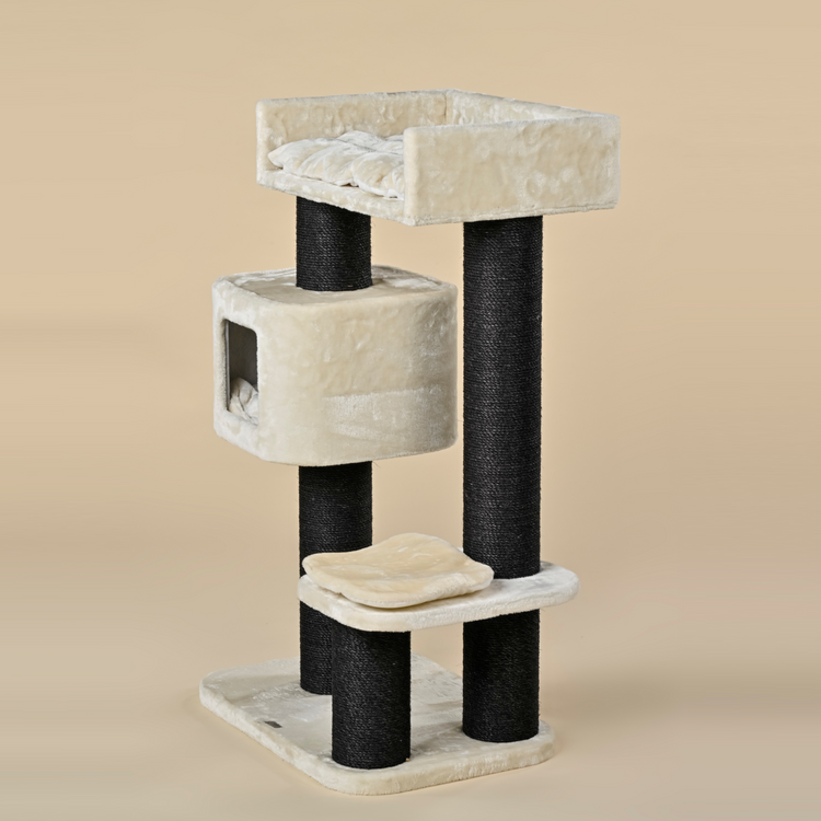 Cat Tree Devon Rex Blackline (Cream)