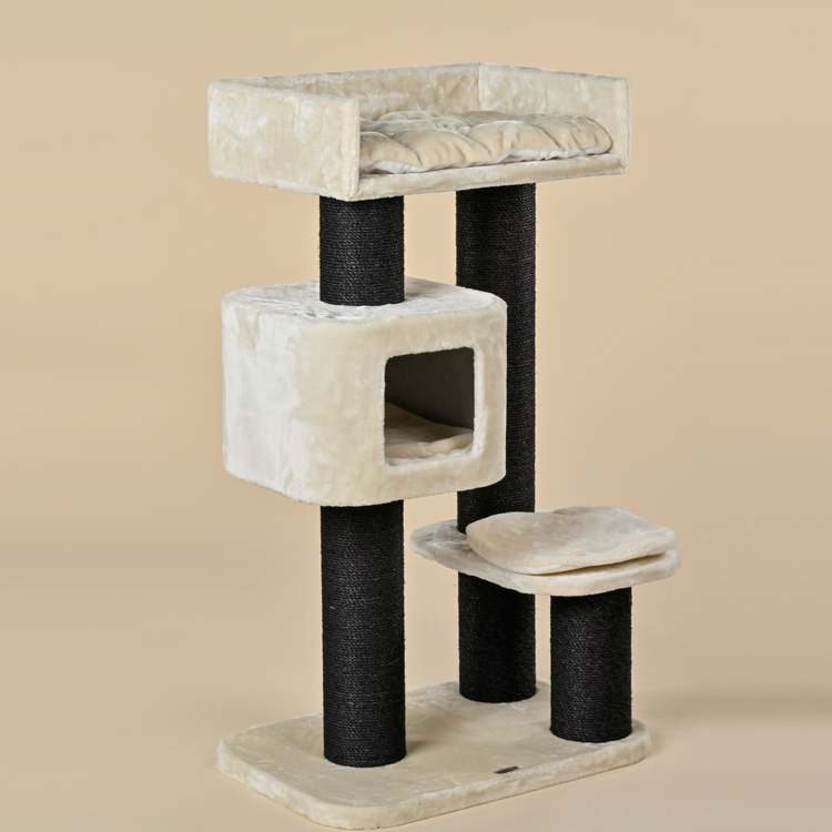 Cat Tree Devon Rex Blackline (Cream)