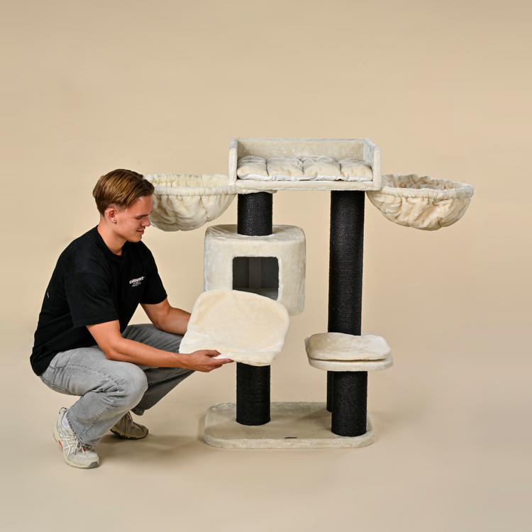 Cat Tree Devon Rex Blackline Plus (Cream)