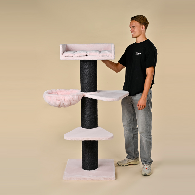 Cat Tree Royalty Blackline Plus (Pink Teddy)