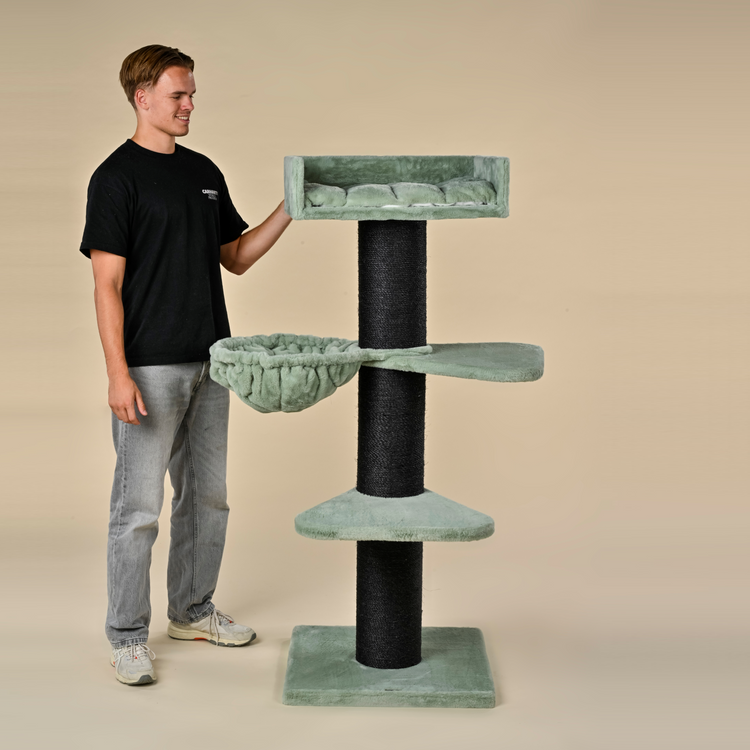 Cat tree Royalty Blackline Plus (Pistachio Teddy)