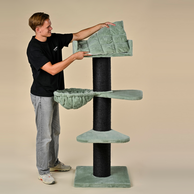 Cat tree Royalty Blackline Plus (Pistachio Teddy)