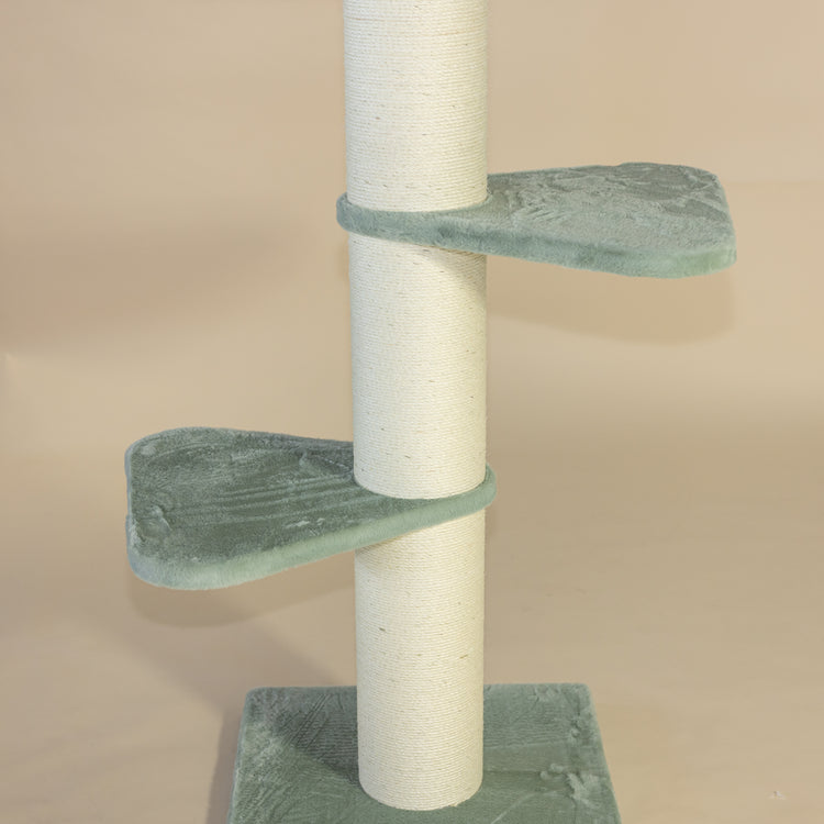 Cat Tree Royalty (Pistachio Teddy)