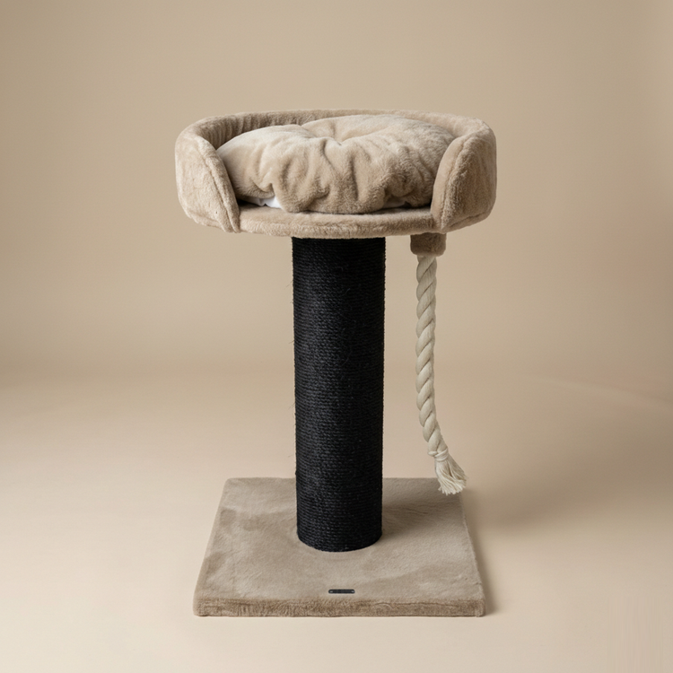 Cat Tree Chartreux Blackline (Cappuccino Teddy)