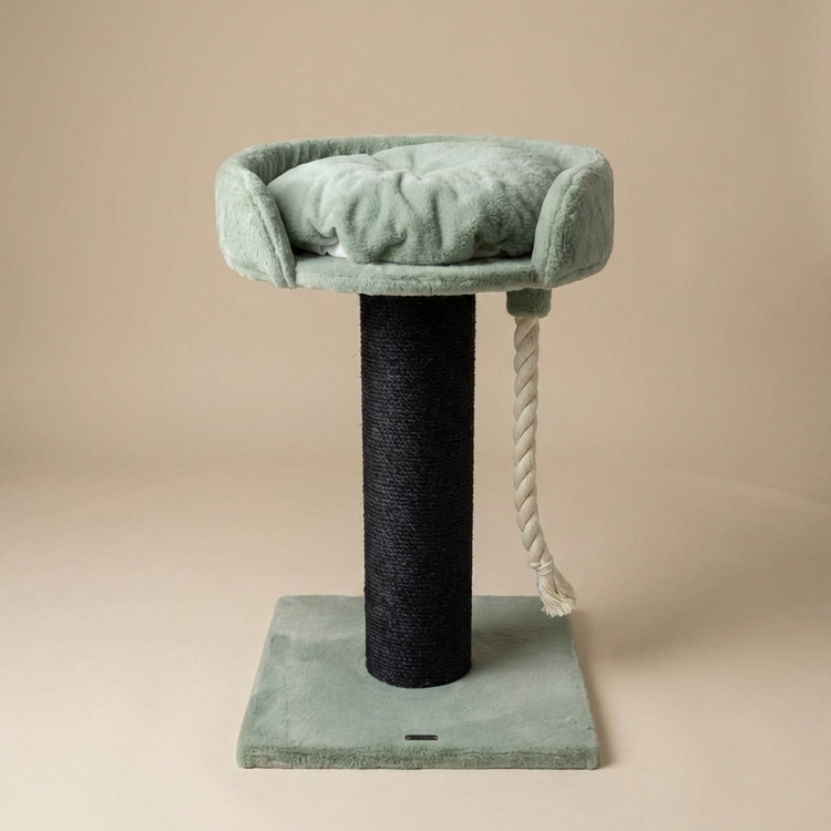 Cat Tree Chartreux Blackline (Pistachio Teddy)