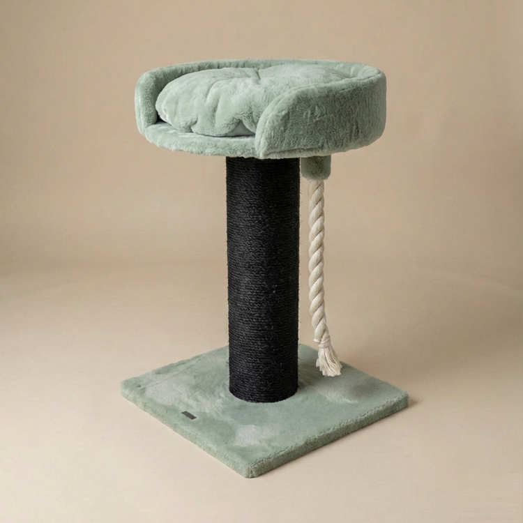 Cat Tree Chartreux Blackline (Pistachio Teddy)