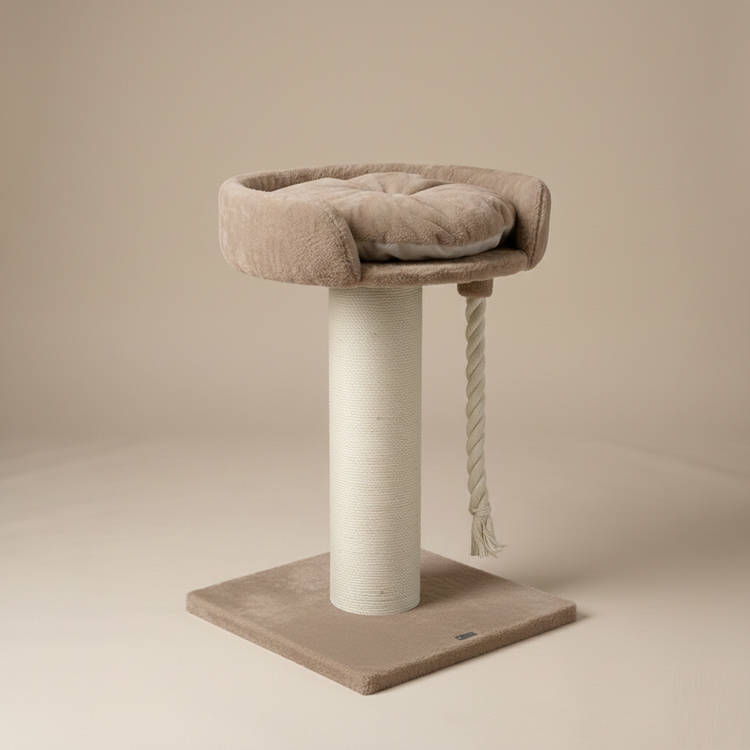 Cat Tree Chartreux (Cappuccino Teddy)