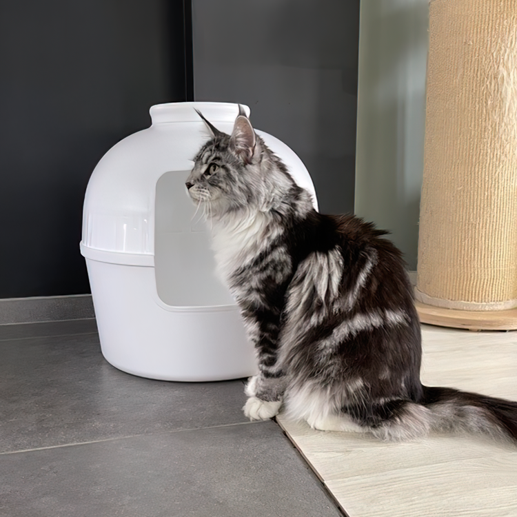 Litter Box Flower XXL, Hidden Cat Toilet (White)
