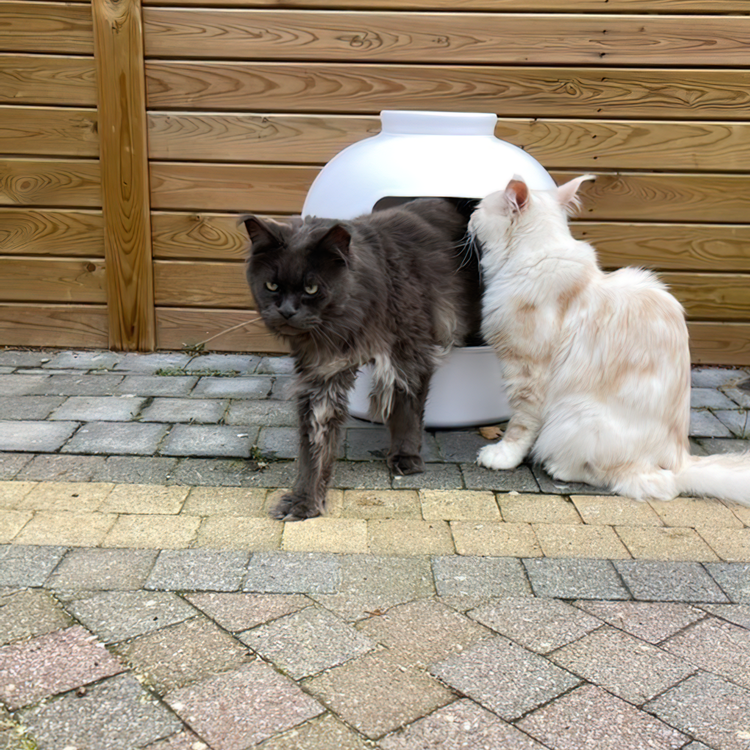 Litter Box Flower XXL, Hidden Cat Toilet (White)