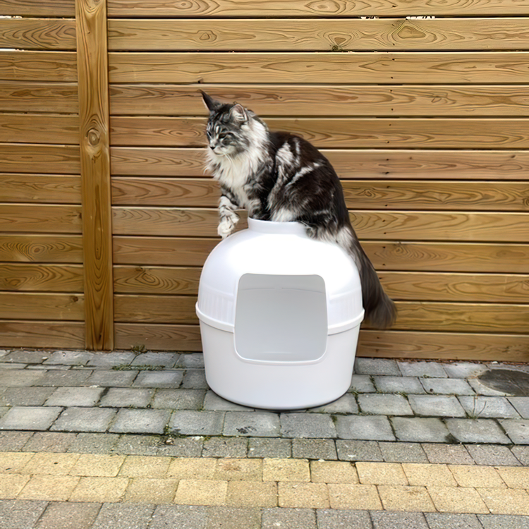 Litter Box Flower XXL, Hidden Cat Toilet (White)