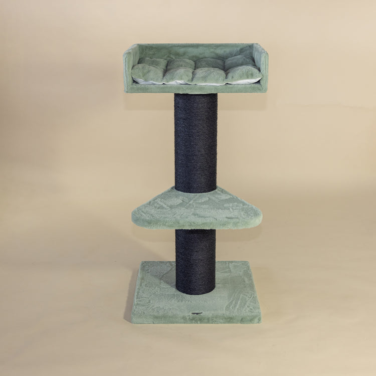 Maine Coon Lounge Blackline Cat Tree (Pistachio Teddy)
