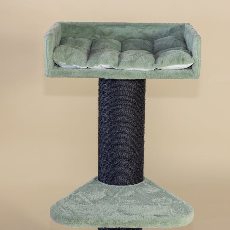 Maine Coon Lounge Blackline Cat Tree (Pistachio Teddy)