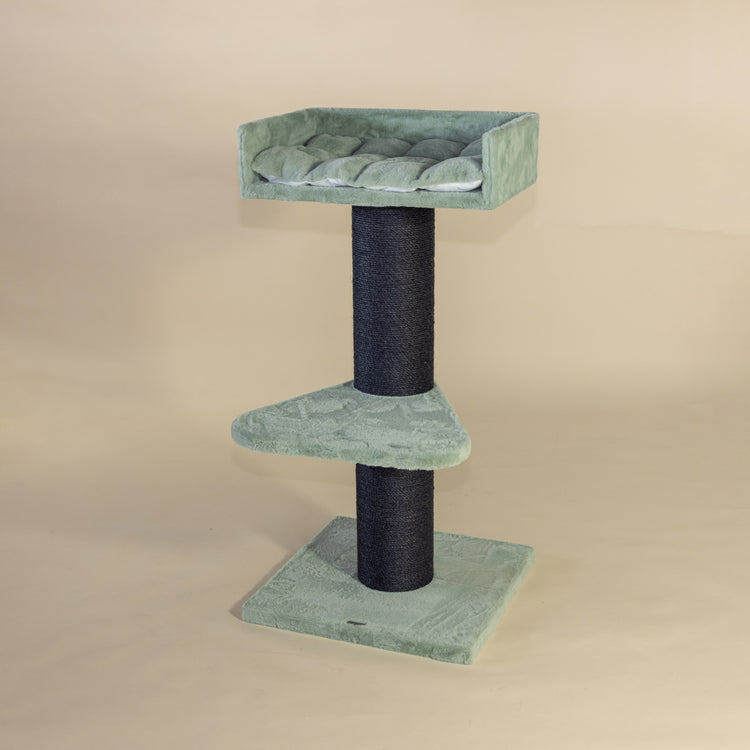 Maine Coon Lounge Blackline Cat Tree (Pistachio Teddy)