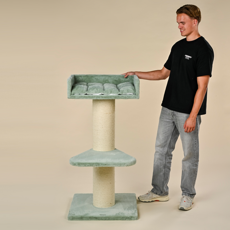 Cat Tree maine Coon Lounge (Pistachio Teddy)