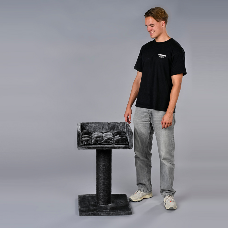 Cat Tree Ragdoll Lounge Blackline (Dark Grey)