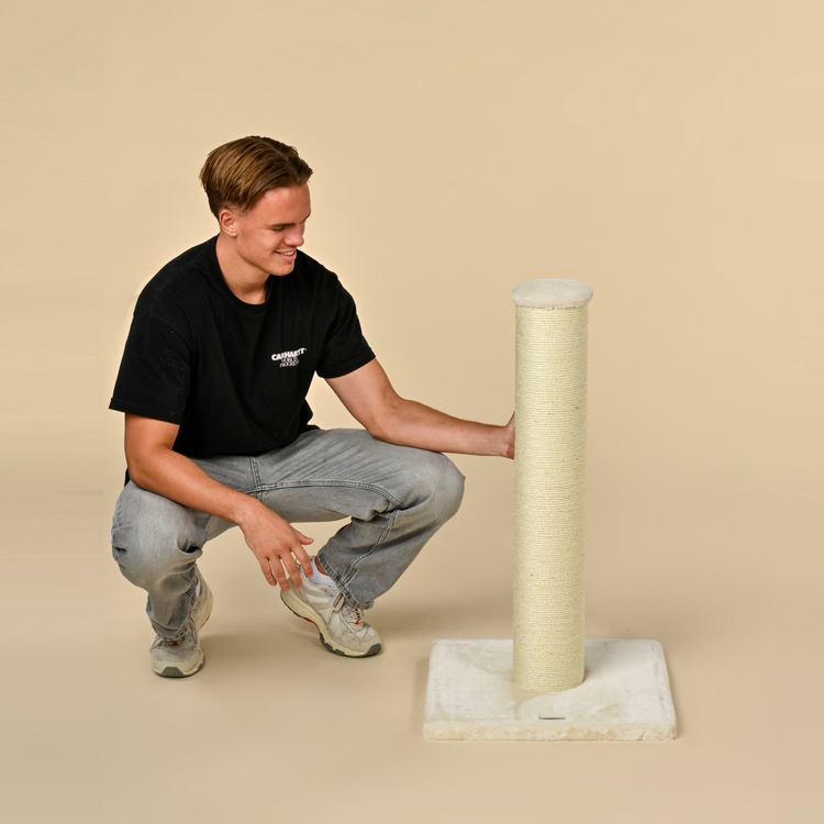 Cat Tree Ragdoll Scratcher (Beige)