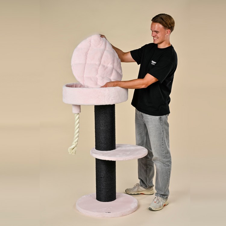 Cat Tree Maine Coon Lounge Sleeper Blackline (Pink Teddy)