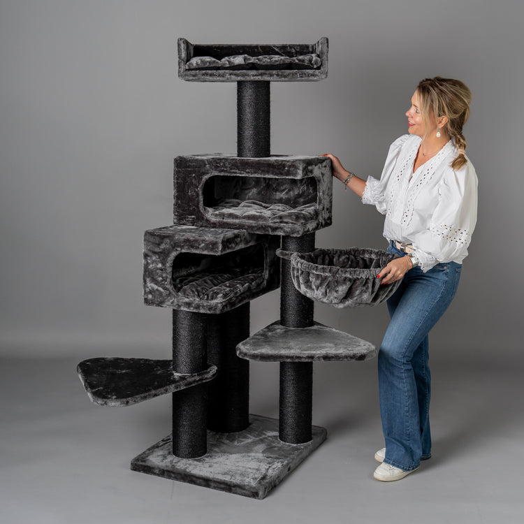 Cat Scratcher Birman Citadel Blackline (Dark Grey)