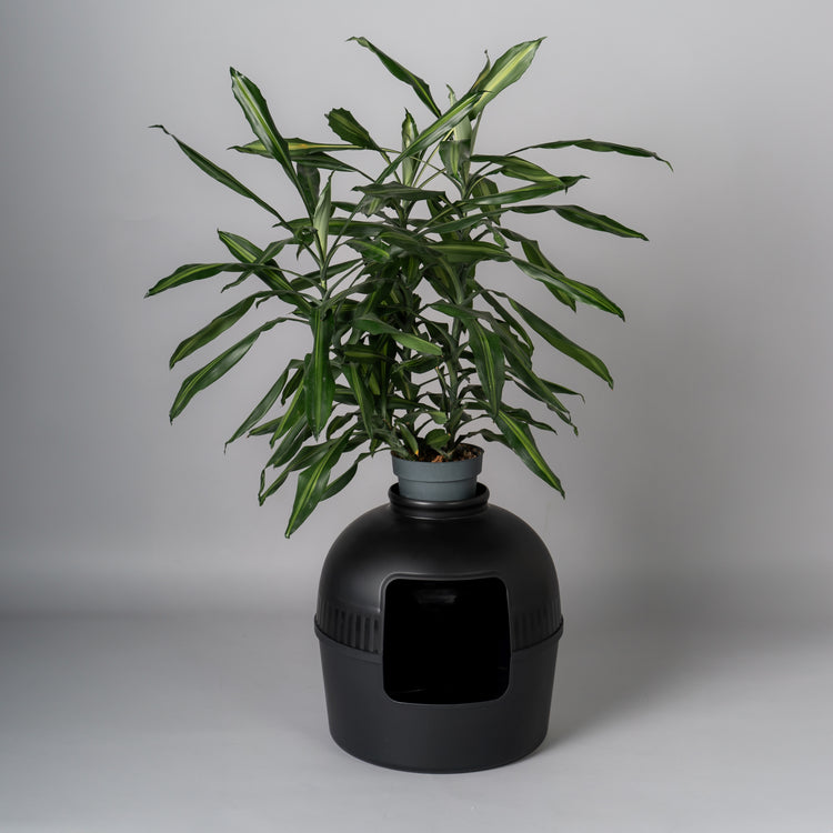 Litter Box Flower XXL, Hidden Cat Toilet (Blackline)