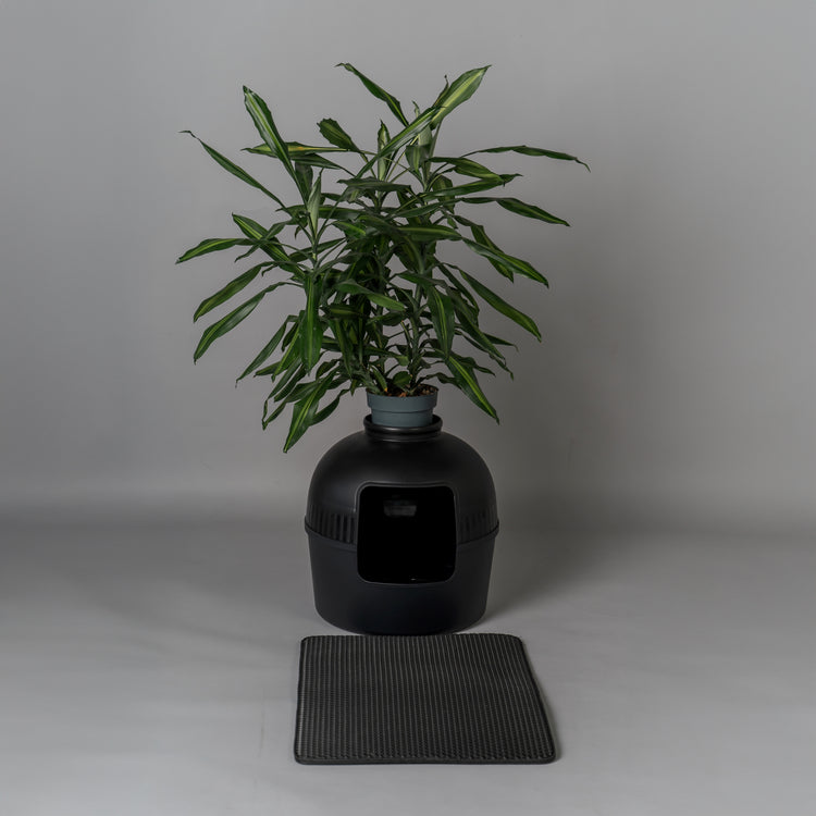 Litter Box Flower XXL, Hidden Cat Toilet (Blackline)