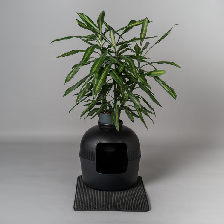 Litter Box Flower XXL, Hidden Cat Toilet (Blackline)