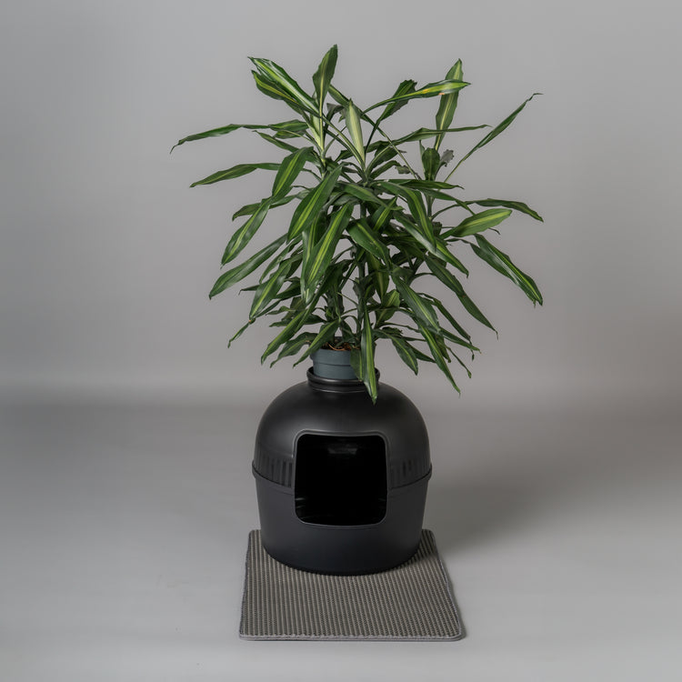Litter Box Flower XXL, Hidden Cat Toilet (Blackline)