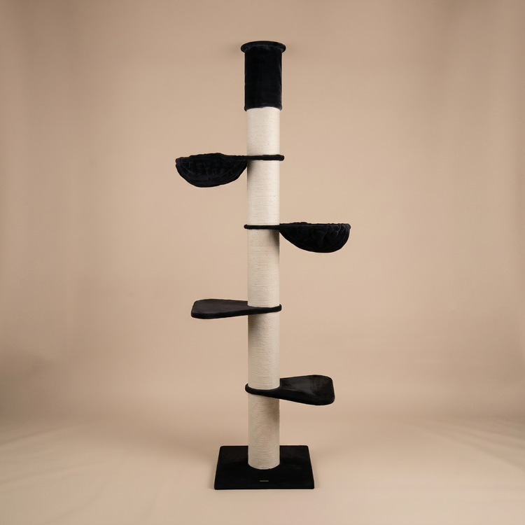 Cat Tree Maine Coon Tower (Black Teddy) 235-255 cm