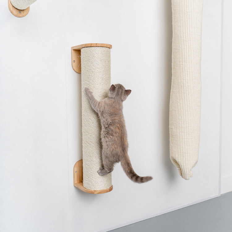 Everest Cream | Cat wall climbing and wall system set from RHR Pets