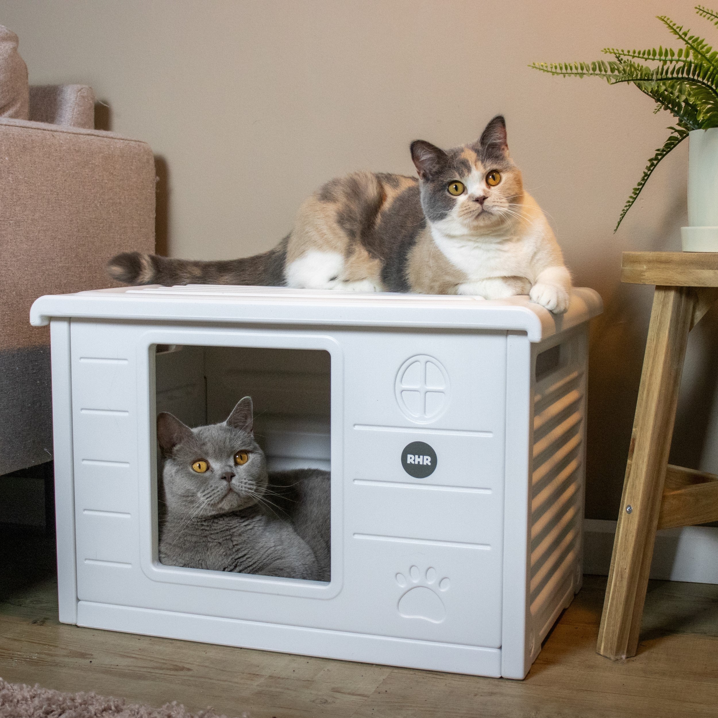 Indoor outdoor hot sale cat house