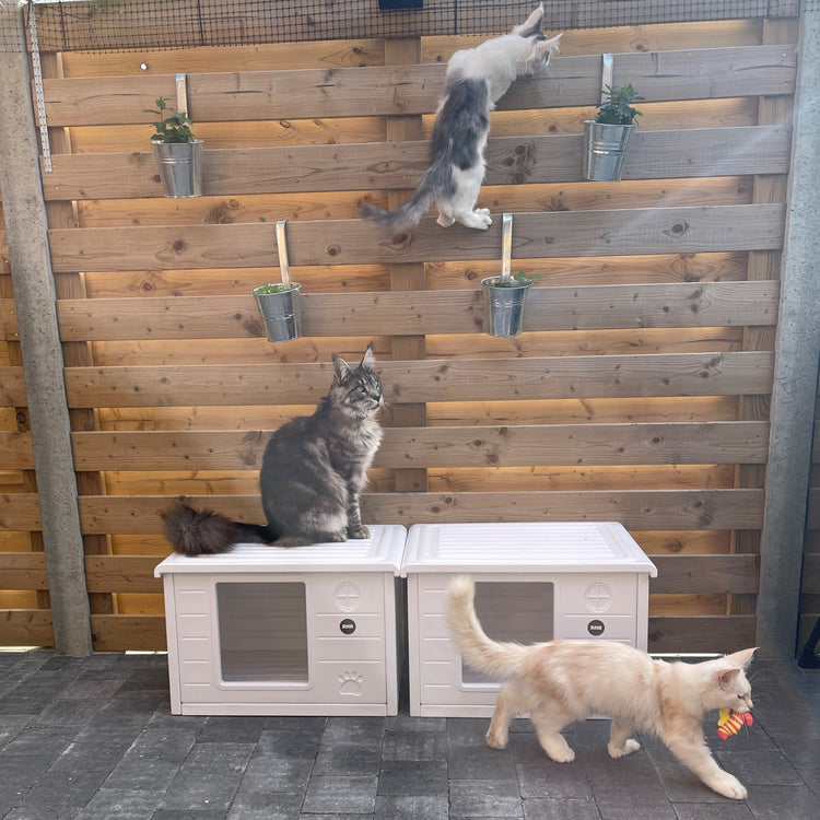 Cat House Villa de Luxe for Outside and Inside (White)