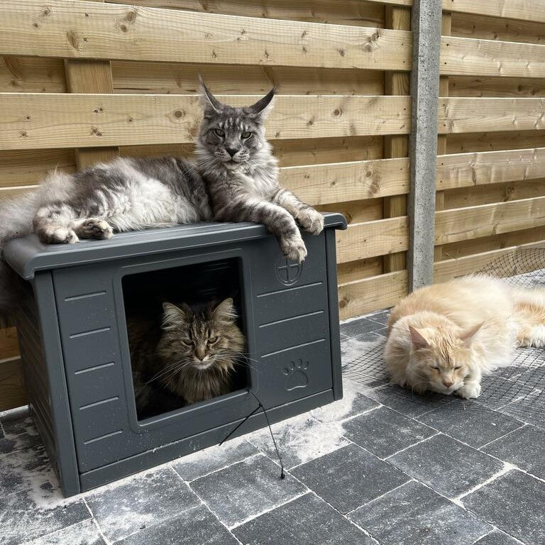 Grey hot sale cat house