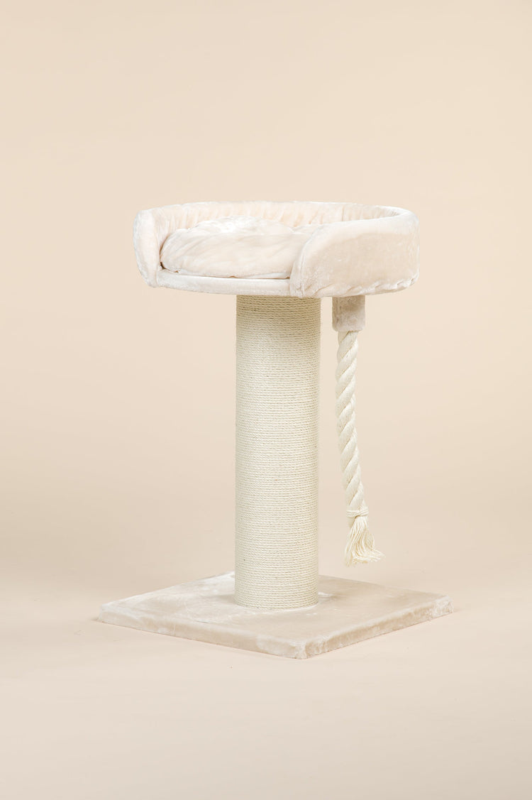 Cat Tree Chartreux (Cream)