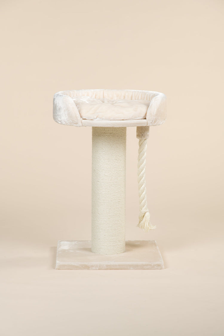 Cat Tree Chartreux (Cream)