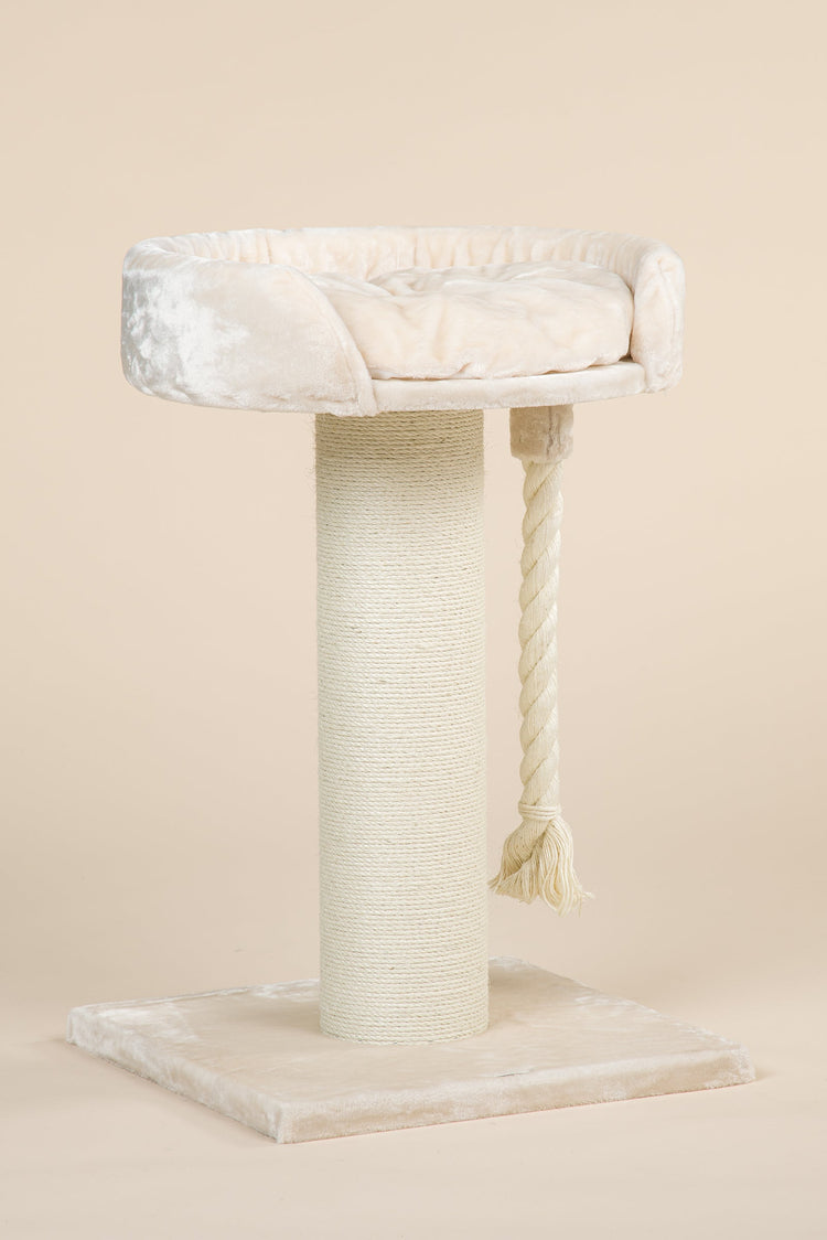 Cat Tree Chartreux (Cream)