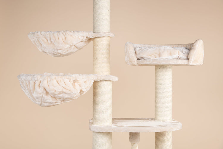 Upper Panel Cream, Catdream de Luxe 60 x 60