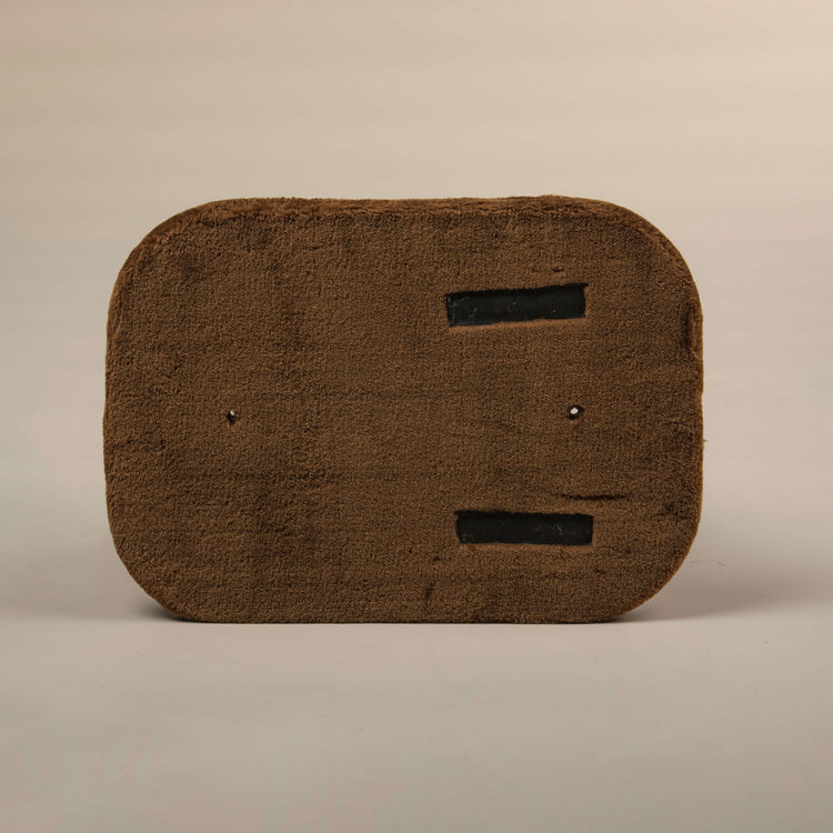 Middle Panel Brown, Devon Rex 50 x 35 cm