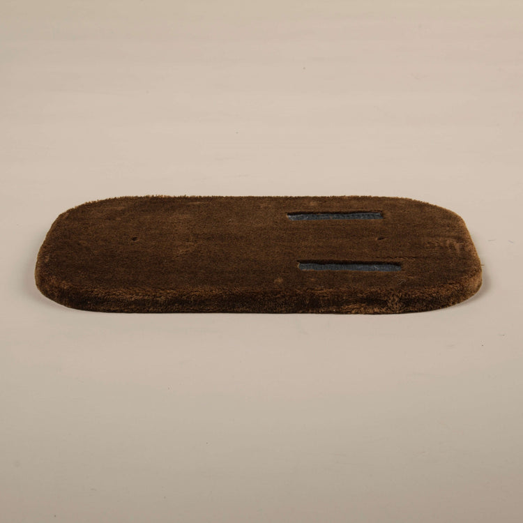 Middle Panel Brown, Devon Rex 50 x 35 cm