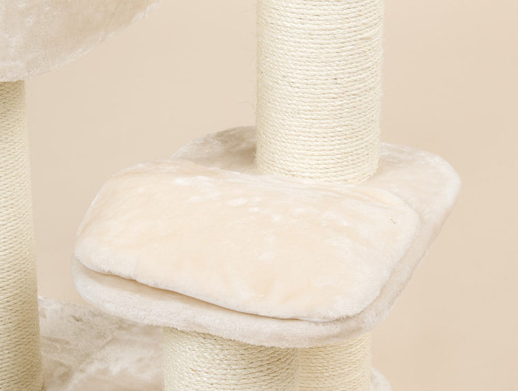 Middle Panel Cream, Devon Rex 50 x 35 cm