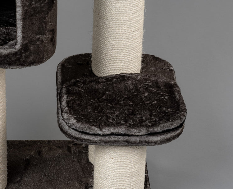 Middle Panel Taupe, Devon Rex 50 x 35 cm