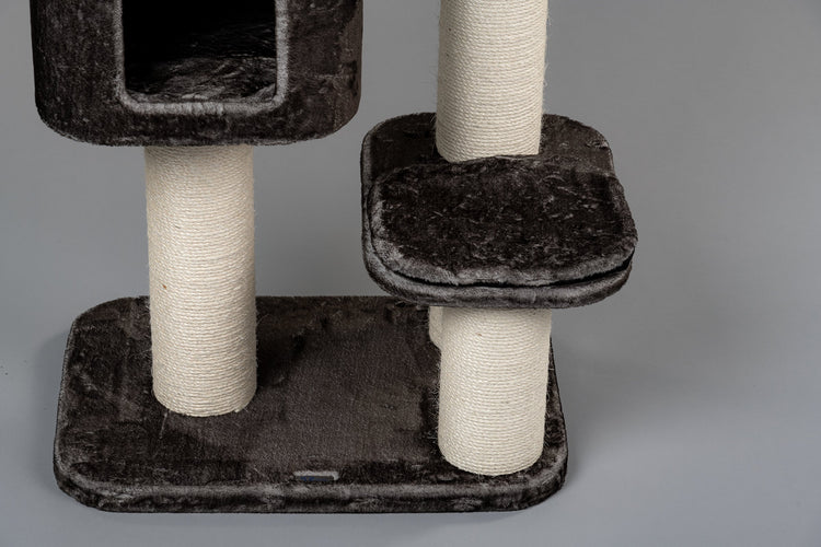 Middle Panel Taupe, Devon Rex 50 x 35 cm